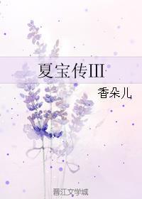 夏宝传3百度