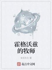 霍格沃兹的牧师txt