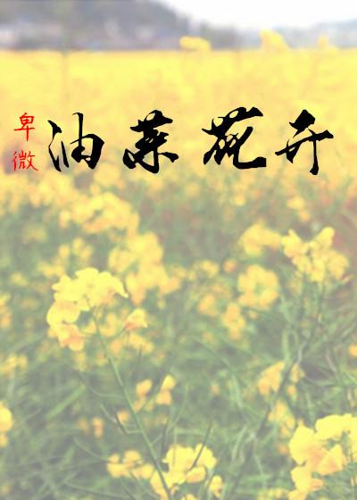 油菜花开作文100字