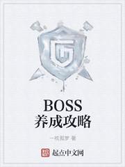 BOSS养成之路