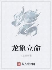 龙象 他