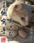 这个写手是只猫txt