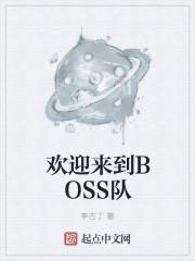 欢迎来到BOSS队 在线阅读