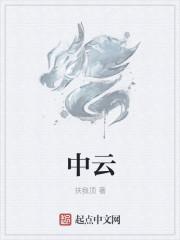 中云网安科技(北京)有限公司