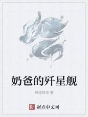 奶爸的歼星舰泡书吧