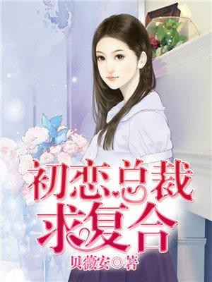 婚途错爱初恋总裁求复合