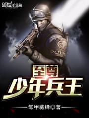 至尊少年兵王免费阅读