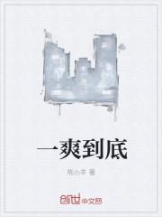 一爽是1.6亿还是208万