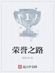 荣誉之路2战争岛