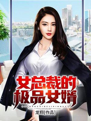 女总裁的极品女婿宋子文