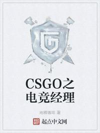 CSGO之电竞经理书源