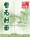 大替身时代epub