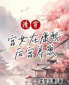 清穿康熙宫女的