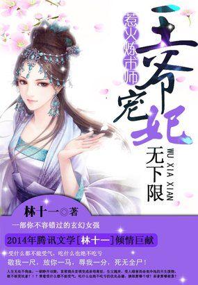 惹火炼术师王爷宠妃无下限