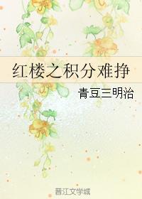 红楼之积分难挣 作者青豆三明治