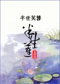 宫斗妃嫔小传