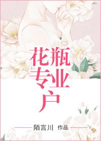 花瓶专业户正确版