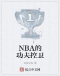 NBA的功夫控卫txt