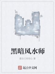 黑暗风水师txt