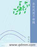 风雨共相随新闻发布会