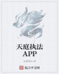 天庭执法app