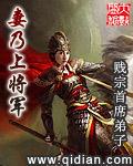 妻乃上将军未删减完整版