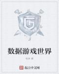 数据游戏是什么意思