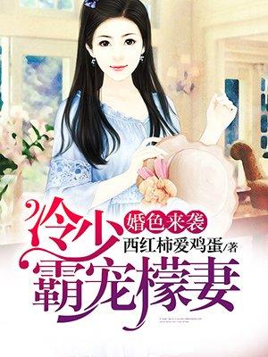 婚色来袭冷少霸宠檬妻