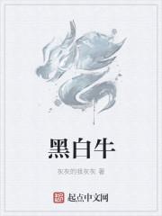 黑白牛都是奶牛吗