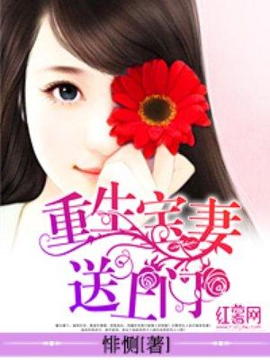 重生宝妻送上门txt