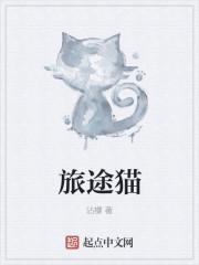 猫的旅途游戏