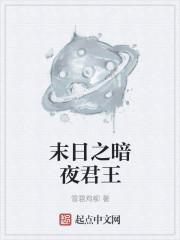 暗夜君王全文无措仓惶