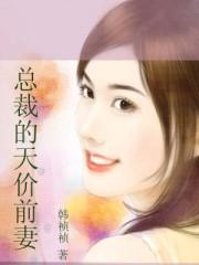 总裁的天价前妻漫画