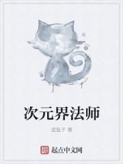 次元法师技能加点