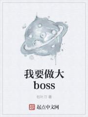 我要玩boss