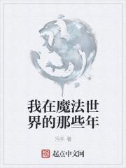 我在魔法世界开创互联网时代 123