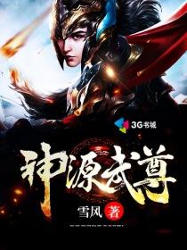 神源武尊为什么后面的不一样?