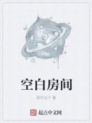 空白房间汤是什么