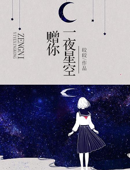 赠你一夜星空全文番外