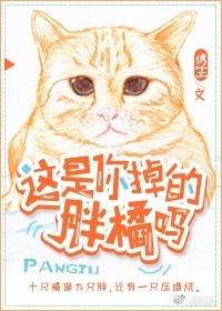 是你掉的橘猫吗