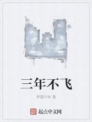 飞将冲天