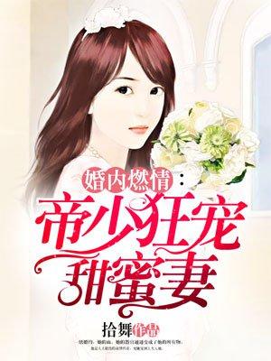 婚内燃情帝少狂宠甜蜜妻 拾舞