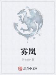 雾岚是什么