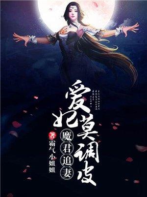 魔君追妻爱妃真调皮