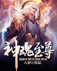 神魂至尊慕枫大师好坏?