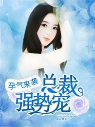 先孕后婚总裁强势爱免费听