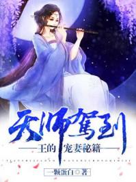 天师王者