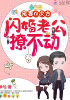 闪婚——宠妻无下限