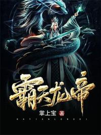 霸天龙帝无邪公子的