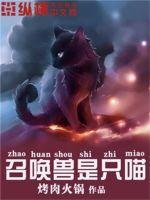 召唤的猫